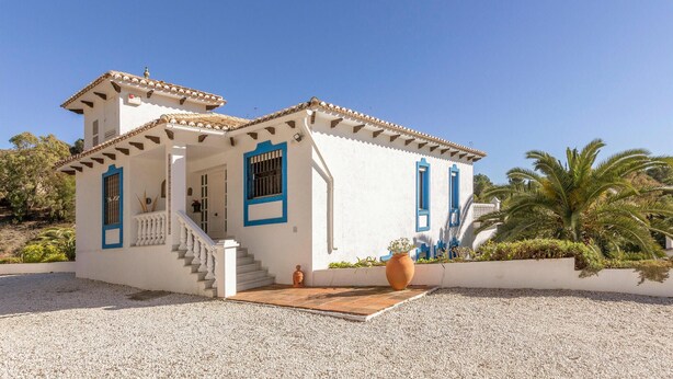 Un edificio blanco con detalles azules, una escalera y una maceta grande.