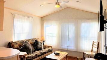 Televisión y chimenea