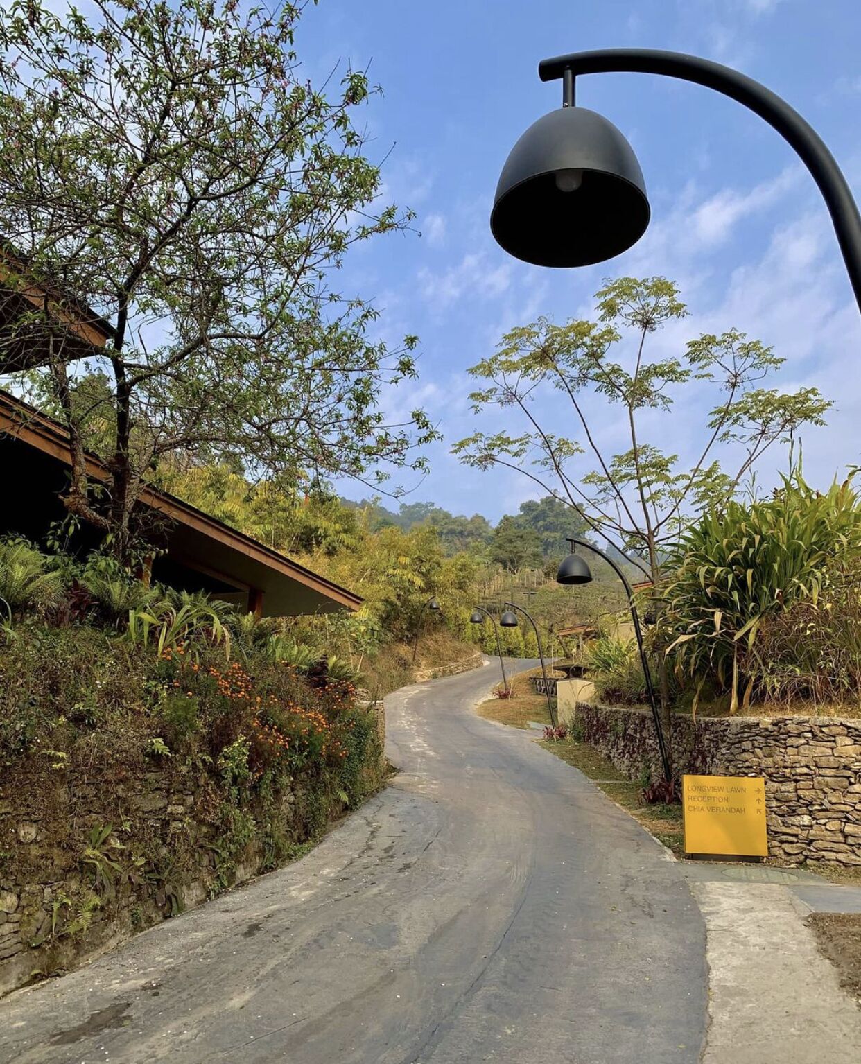 A winding road with a lamp post and a sign indicating directions to reception and Chia Verandah.