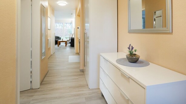A hallway with a white dresser, a mirror, and a potted plant. - Papillon Whg. 17/1, Germany (Ostseebad Boltenhagen)