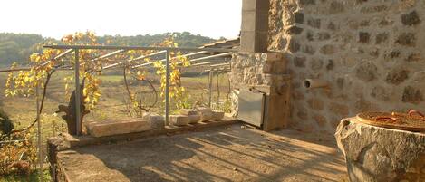 Apartment (Two-Bedroom Apartment with Terrace) | Terrace/patio