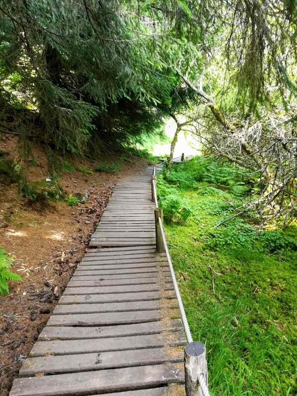A wooden boardwalk through a forested area.