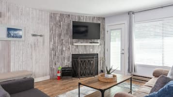 TV, fireplace, DVD player