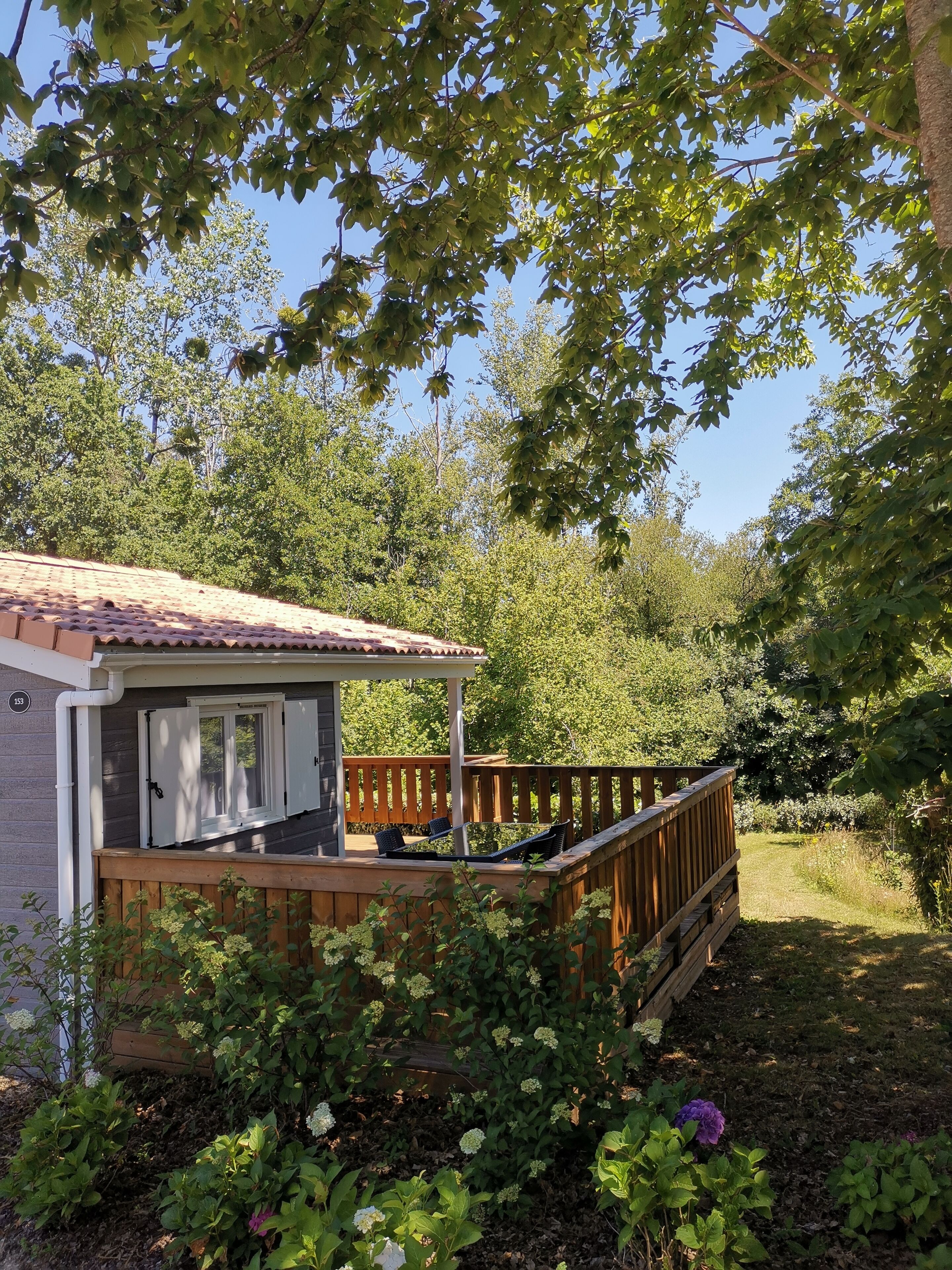 Une petite maison dotée d’un balcon, entourée d’une végétation luxuriante et d’arbres.