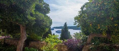 Ein Garten mit Bäumen und Blick auf ein Gewässer.
