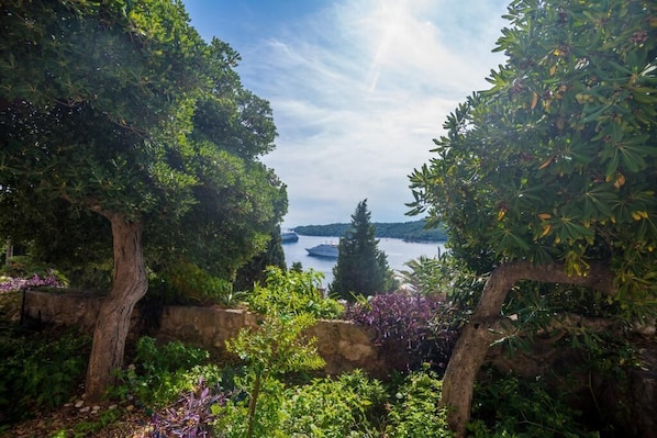 A garden with trees and a view of a body of water.