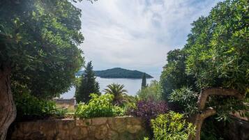 公寓 (Apartment Charming Arena - One Bedroo) | 住宿景观