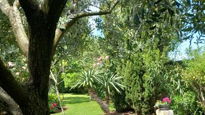 Un jardín con varios árboles y un banco de piedra.
