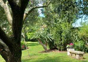 Overnattingsstedets uteområder