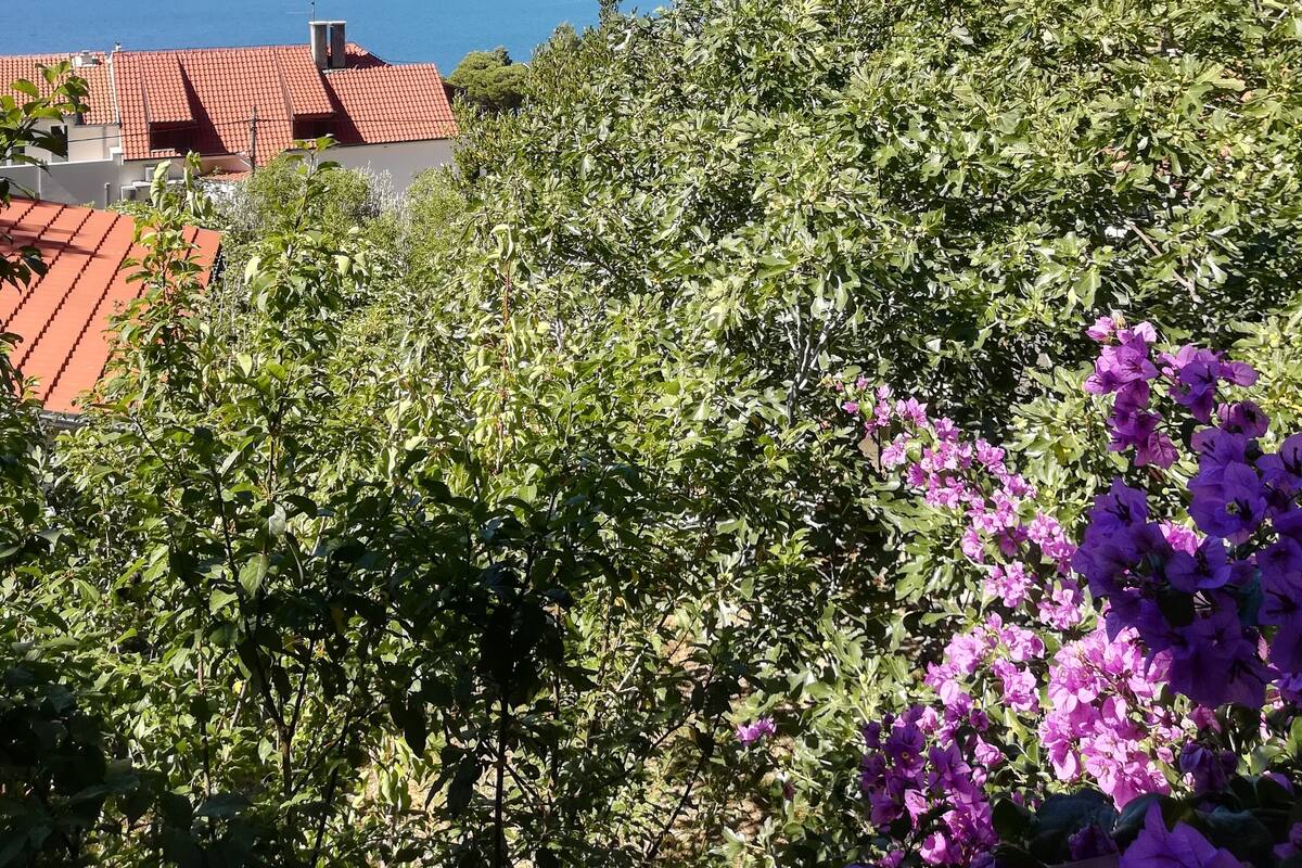 Appartement (Three Bedroom Apartment with Balcony) | Vue depuis l’hébergement