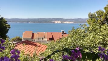 Apartment (Three Bedroom Apartment with Balcony) | View from property