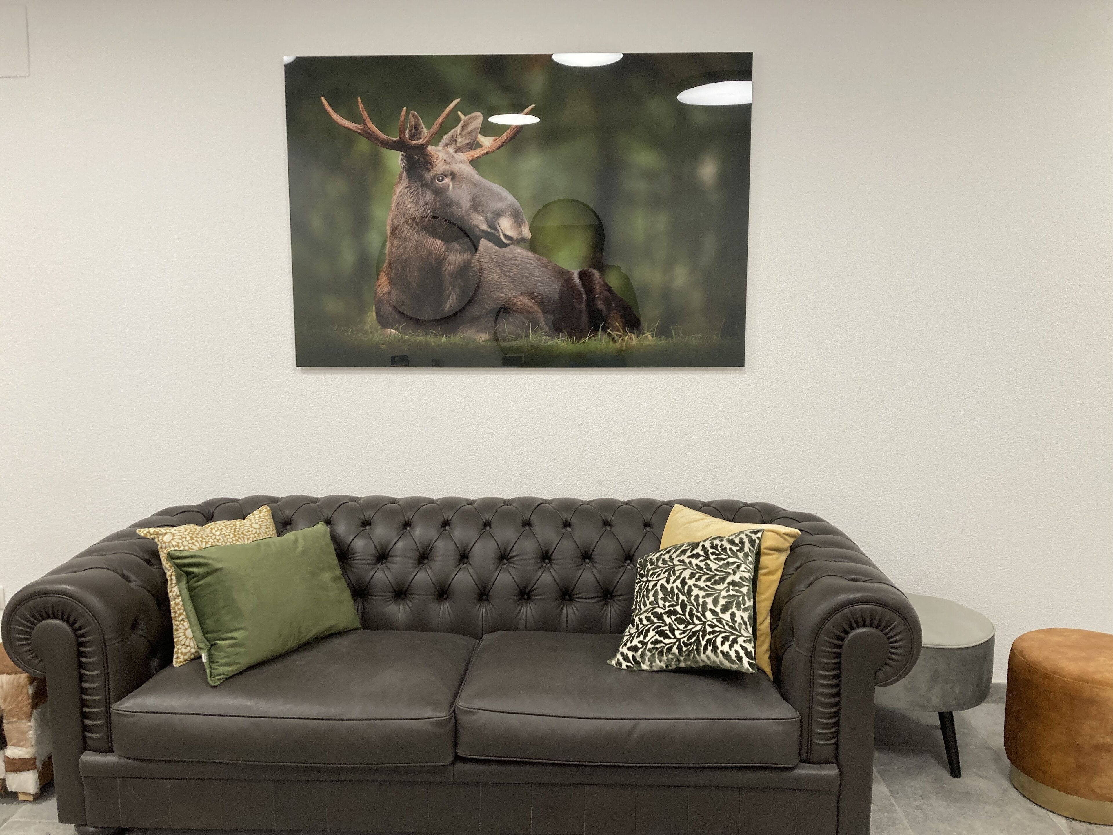 Ein dunkelbraunes Ledersofa mit Riegelstickerei, ergänzt durch drei Kissen mit Muster.