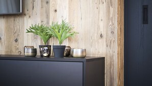 Een houten wand met een flatscreen televisie boven een zwart kastje. Op het kastje staan drie decoratieve schalen en een potplant.