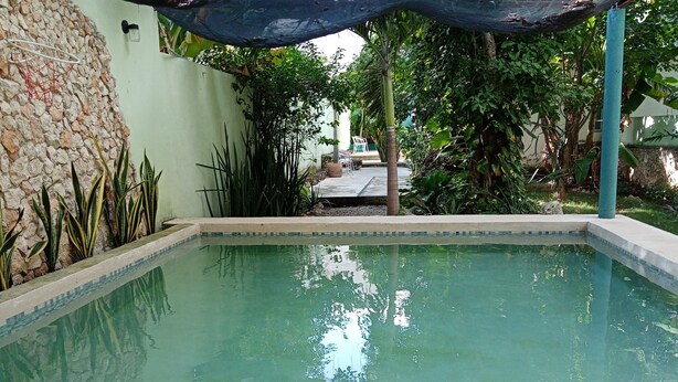 Ein klares Schwimmbecken mit einer Steinwand und umliegender Bepflanzung.