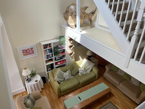 Smart TV, DVD player, books