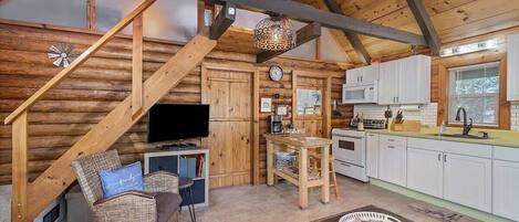 Televisión y libros