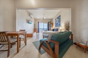 Smart TV, DVD player, books, video library