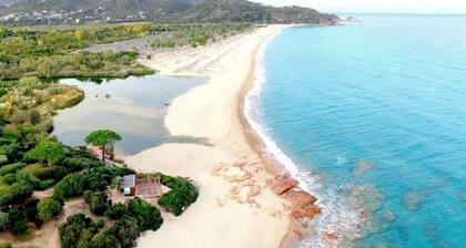 Apartment with beautiful garden view, 400 m from the beach