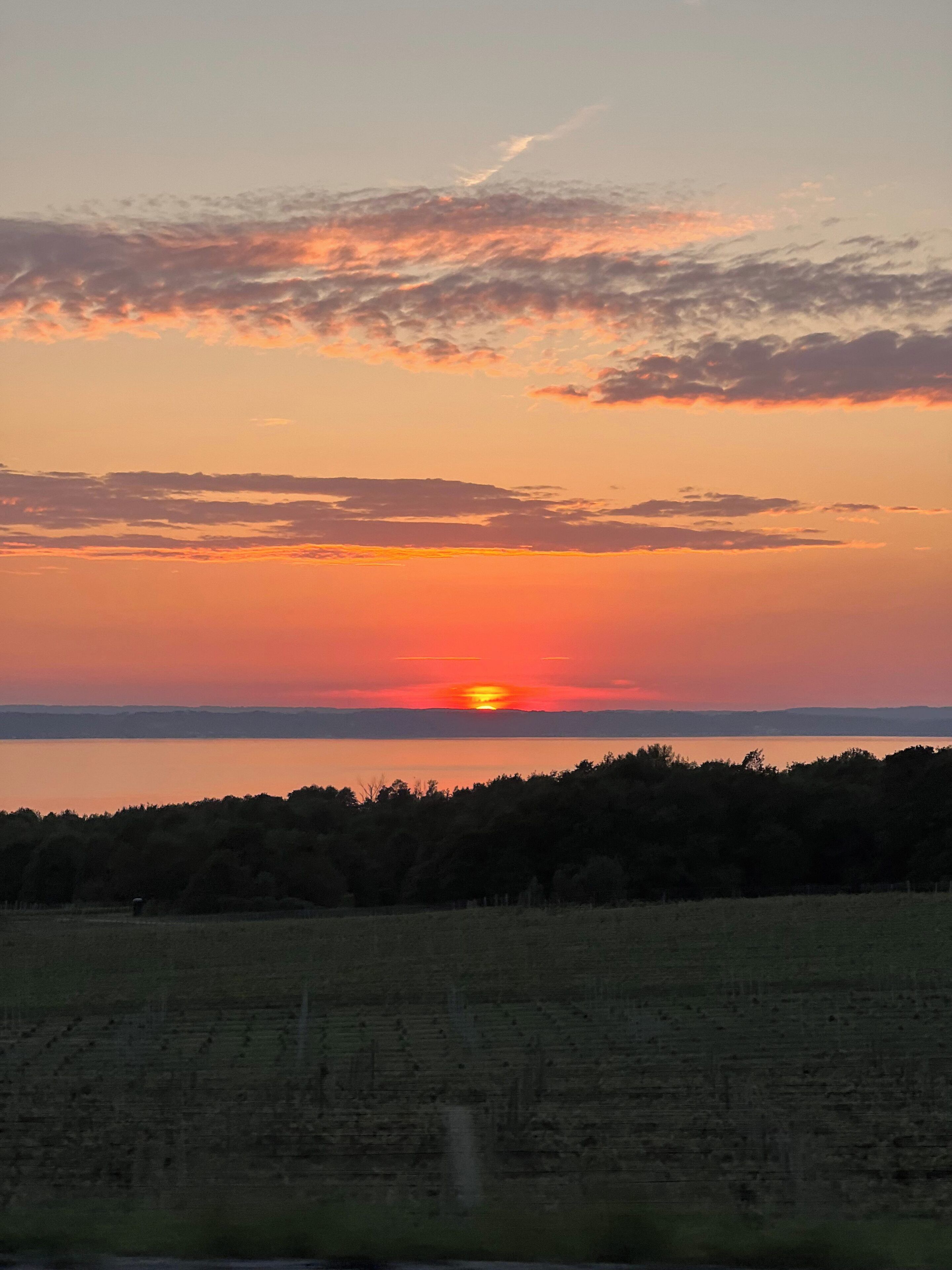 A sunset over a body of water with a forested area in the foreground.