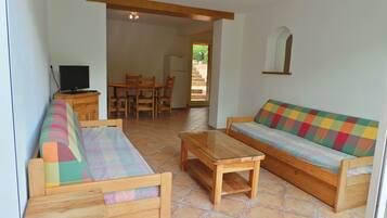 Télévision, baby-foot, table de tennis de table, livres