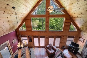 TV, fireplace, books
