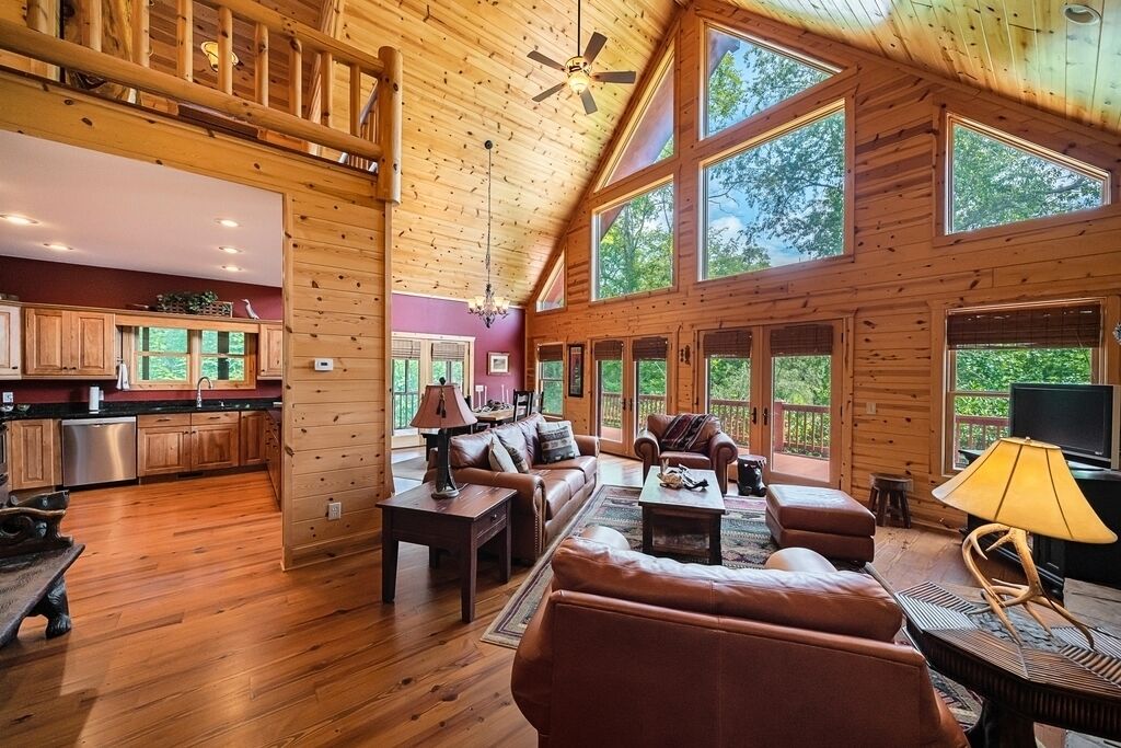 TV, fireplace, books