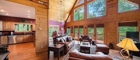 Télévision, cheminée, livres