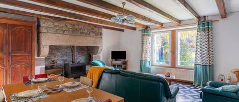 TV, fireplace, DVD player