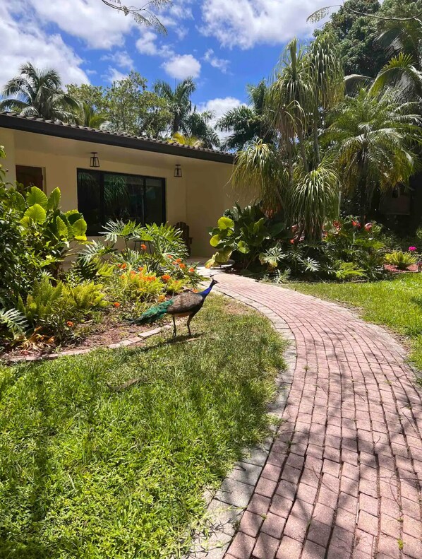 A garden pathway leading to a building with a large window and a door.
