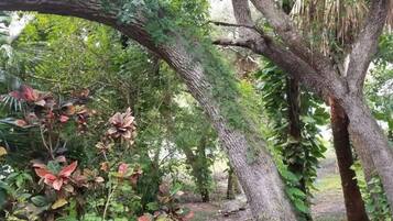 Condo (New Listing Townhouse Paradise -Steps) | Exterior