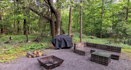 Camelback Rancher- One Acre & Pet friendly