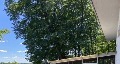 Top-Rated Balsam Lake Vacation Home with Stunning Lake Views, 4 BR & Family Fun