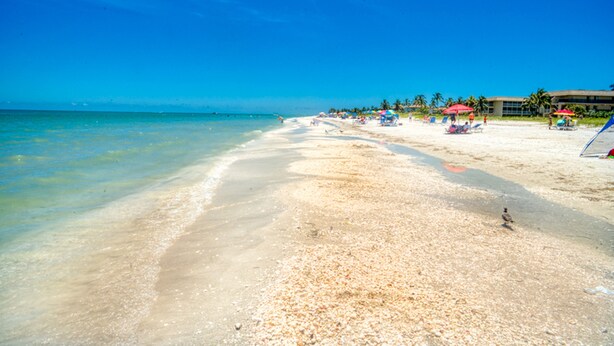 Strand