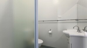 Combined shower/bathtub
