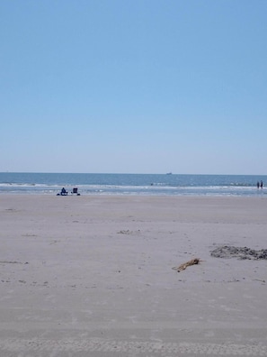 Une vaste plage dégagée, sous un ciel clair.