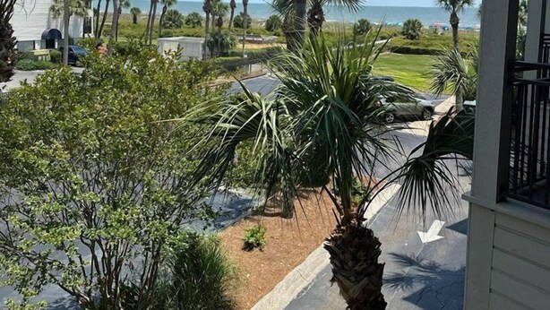 A view of a beachfront property with palm trees and a clear sky.