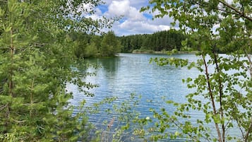 Un lago tranquilo rodeado de un bosque denso.