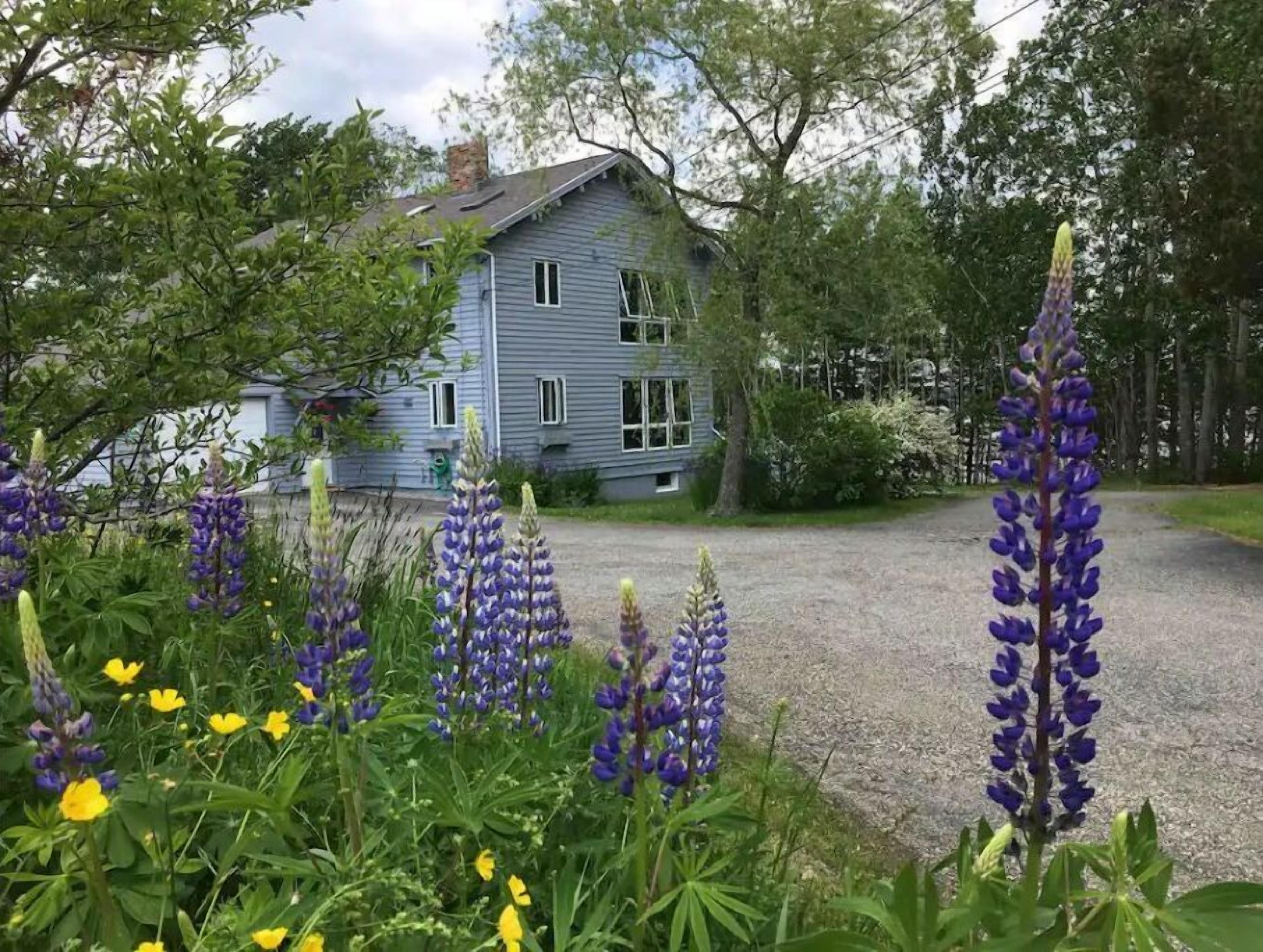 The VRBO is located in the downstairs apartment of a log cabin duplex