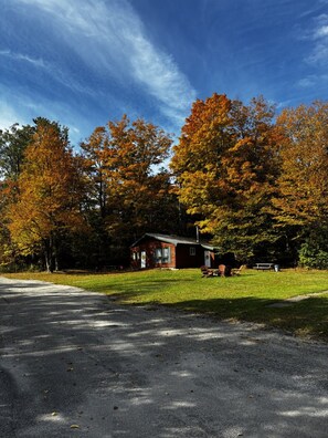A rustic cabin with a paved driveway, surrounded by autumn foliage.