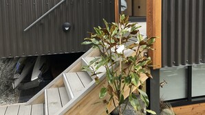 Un bâtiment moderne à l’extérieur en bois, avec un escalier en métal et une petite plante au premier plan.