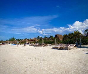 Gần bãi biển riêng, quán bar trên bãi biển 