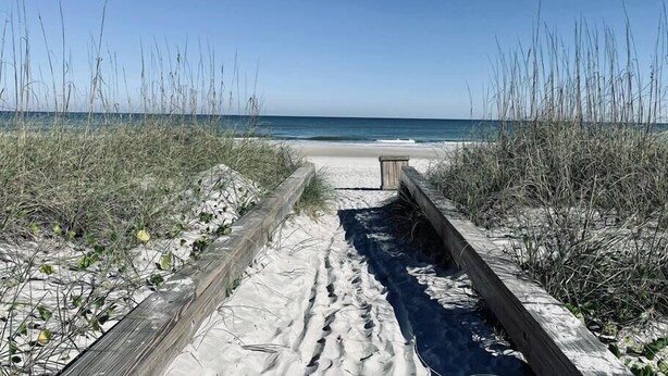 A sandy beach path leading to the ocean, flanked by tall grasses. - Luxury Ocean View Getaway! (Jacksonville Beach)