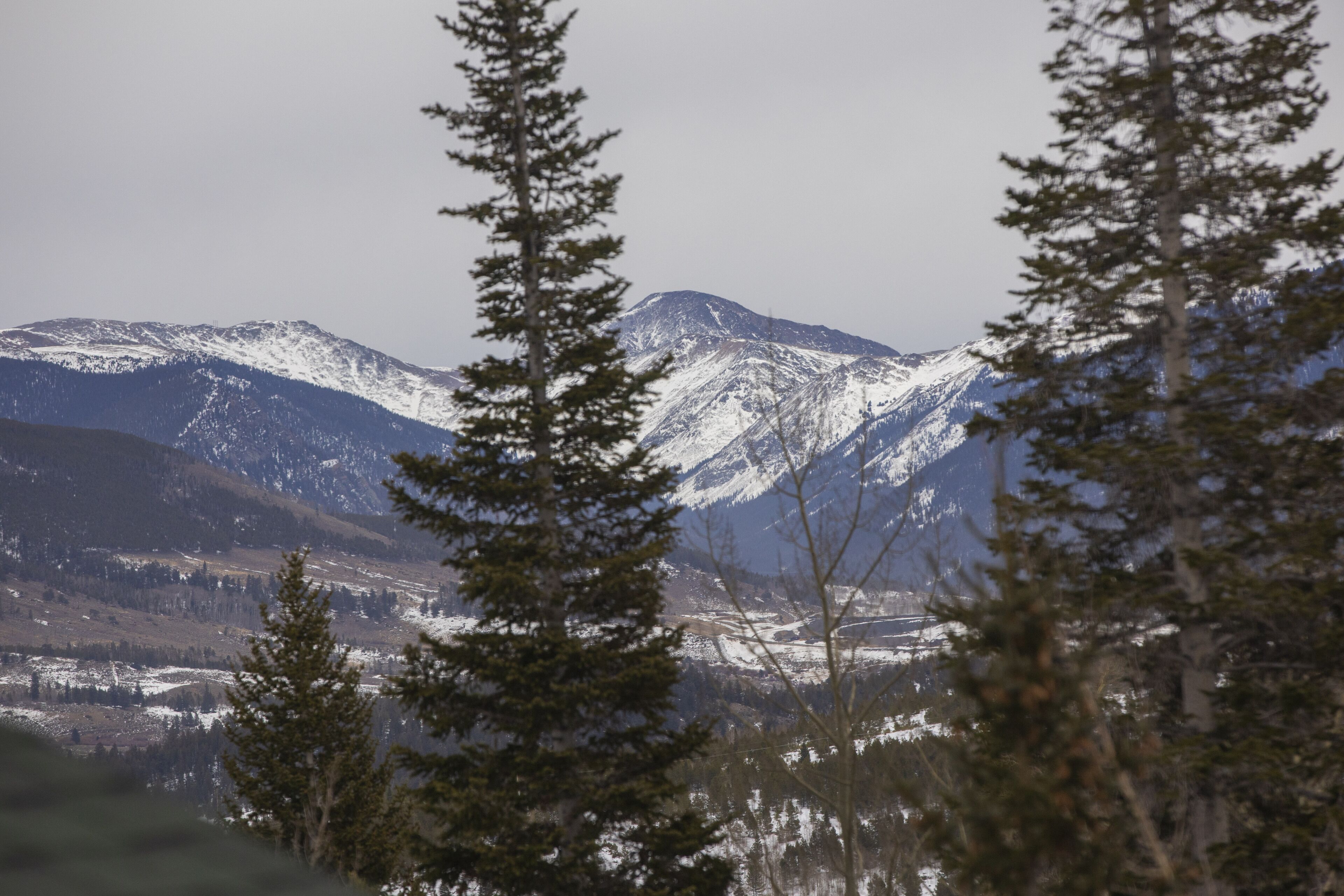 A mountainous landscape with snow-covered peaks and dense forest in the foreground.