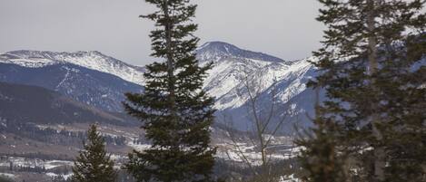A mountainous landscape with snow-covered peaks and dense forest in the foreground.