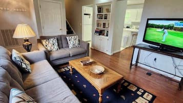 Televisio, takka, työhuone