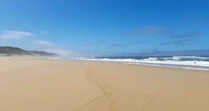 Forever Ocean - A Dreamer’s Paradise