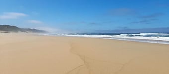 Forever Ocean - A Dreamer’s Paradise