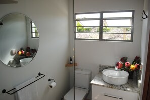 Bathtub, hair dryer, towels, soap