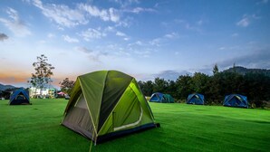 A campsite with multiple tents on a grassy field, surrounded by trees and hills. - Ozone Tented Camp See the Star (Pak Chong)