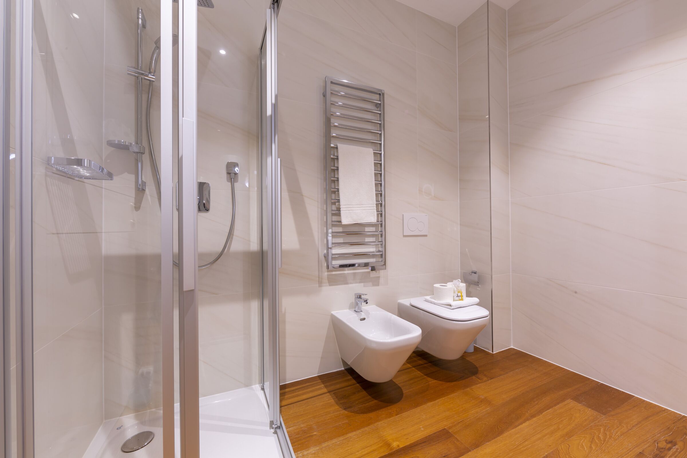 Shower, hair dryer, bidet, towels